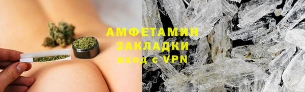 молекула духа Богданович