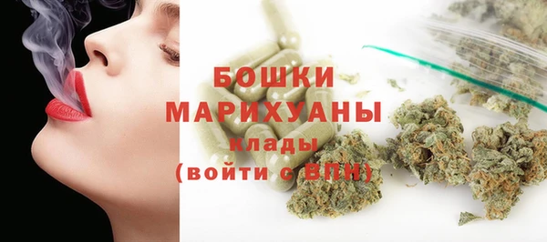 молекула духа Богданович