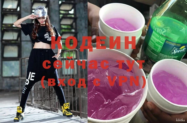 молекула духа Богданович