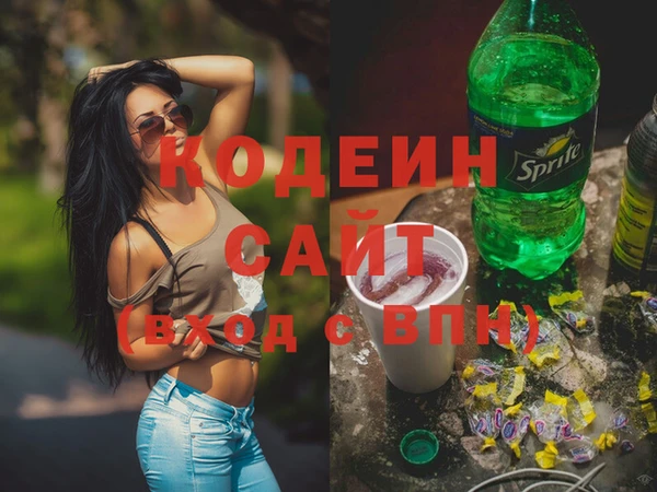 молекула духа Богданович