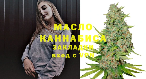 молекула духа Богданович