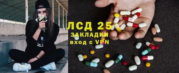 ПСИЛОЦИБИНОВЫЕ ГРИБЫ Бородино
