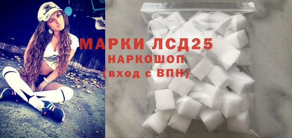молекула духа Богданович