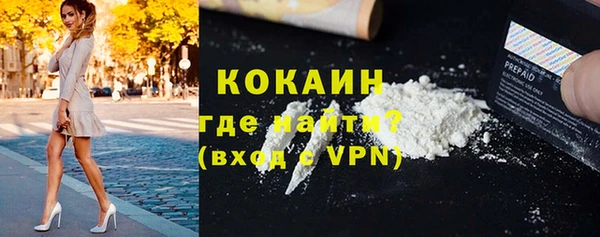 молекула духа Богданович
