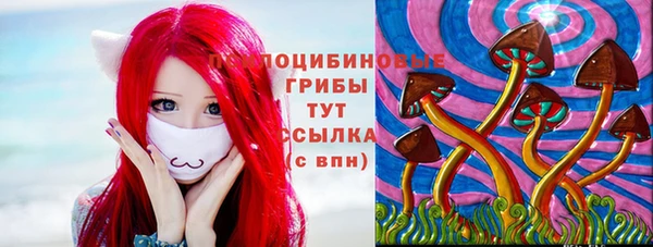 ПСИЛОЦИБИНОВЫЕ ГРИБЫ Бородино