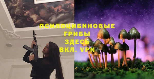 соль ск Бугульма