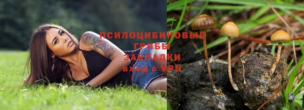 ALPHA PVP Богородск