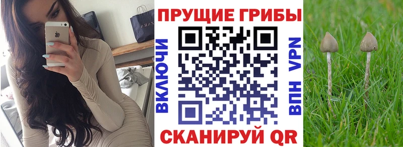 Галлюциногенные грибы мицелий  Гуково 